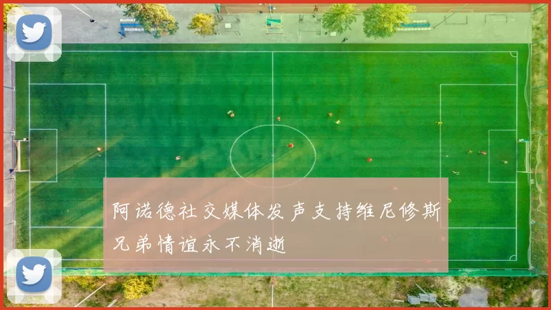 阿诺德社交媒体发声支持维尼修斯兄弟情谊永不消逝