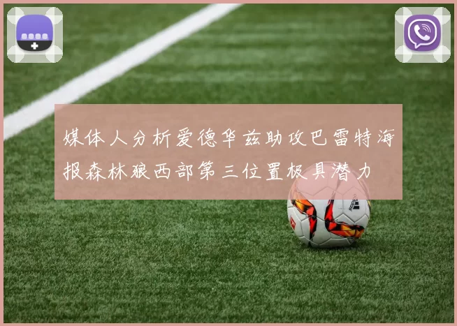 媒体人分析爱德华兹助攻巴雷特海报森林狼西部第三位置极具潜力